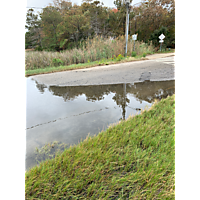 King tide Virginia Beach image